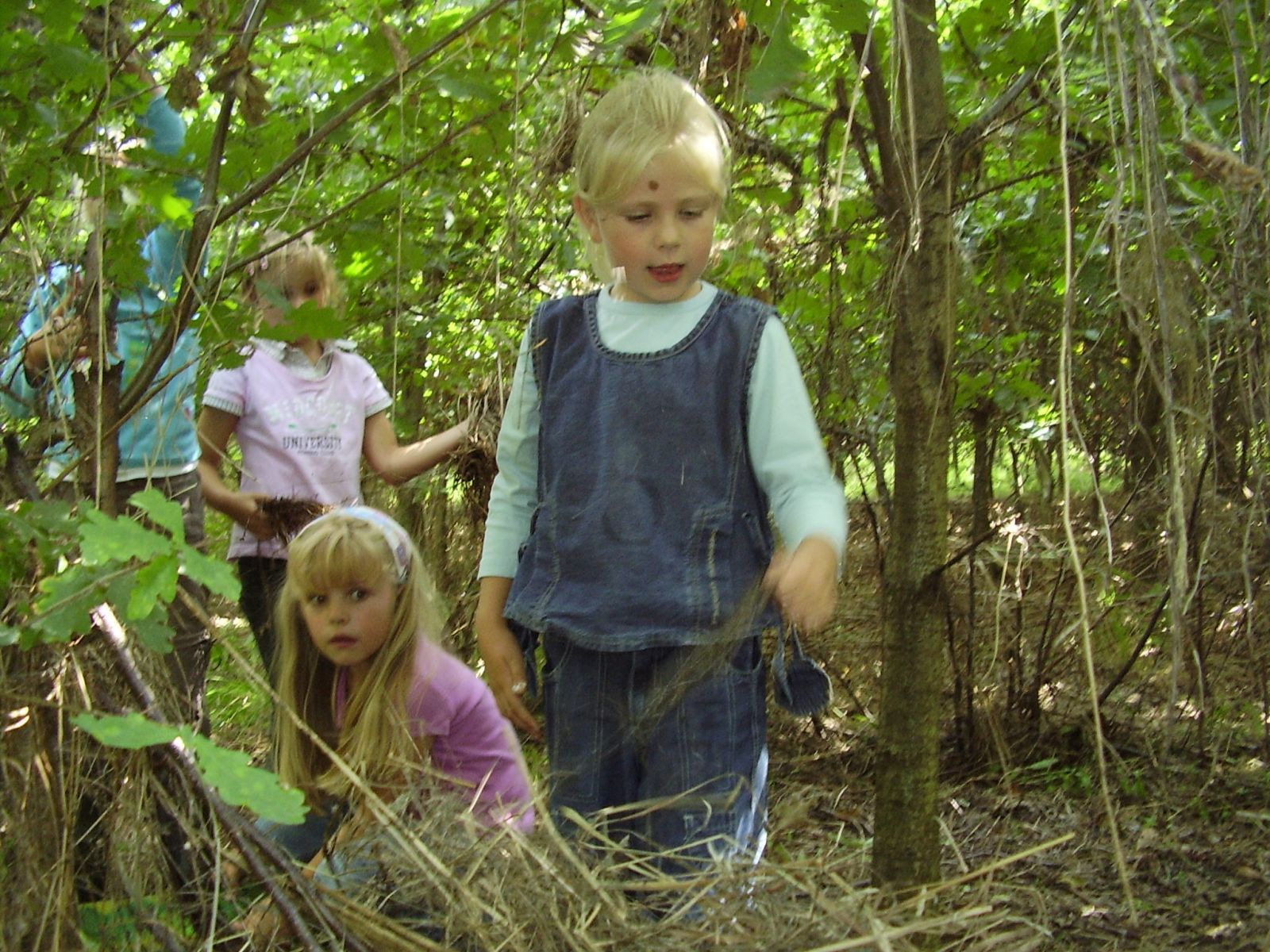 Een huisje bouwen in het bos
