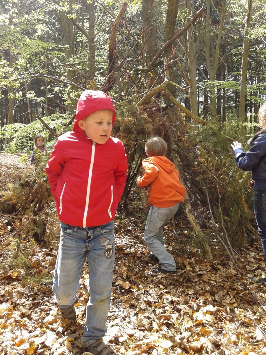 Hut bouwen in Beukenburg