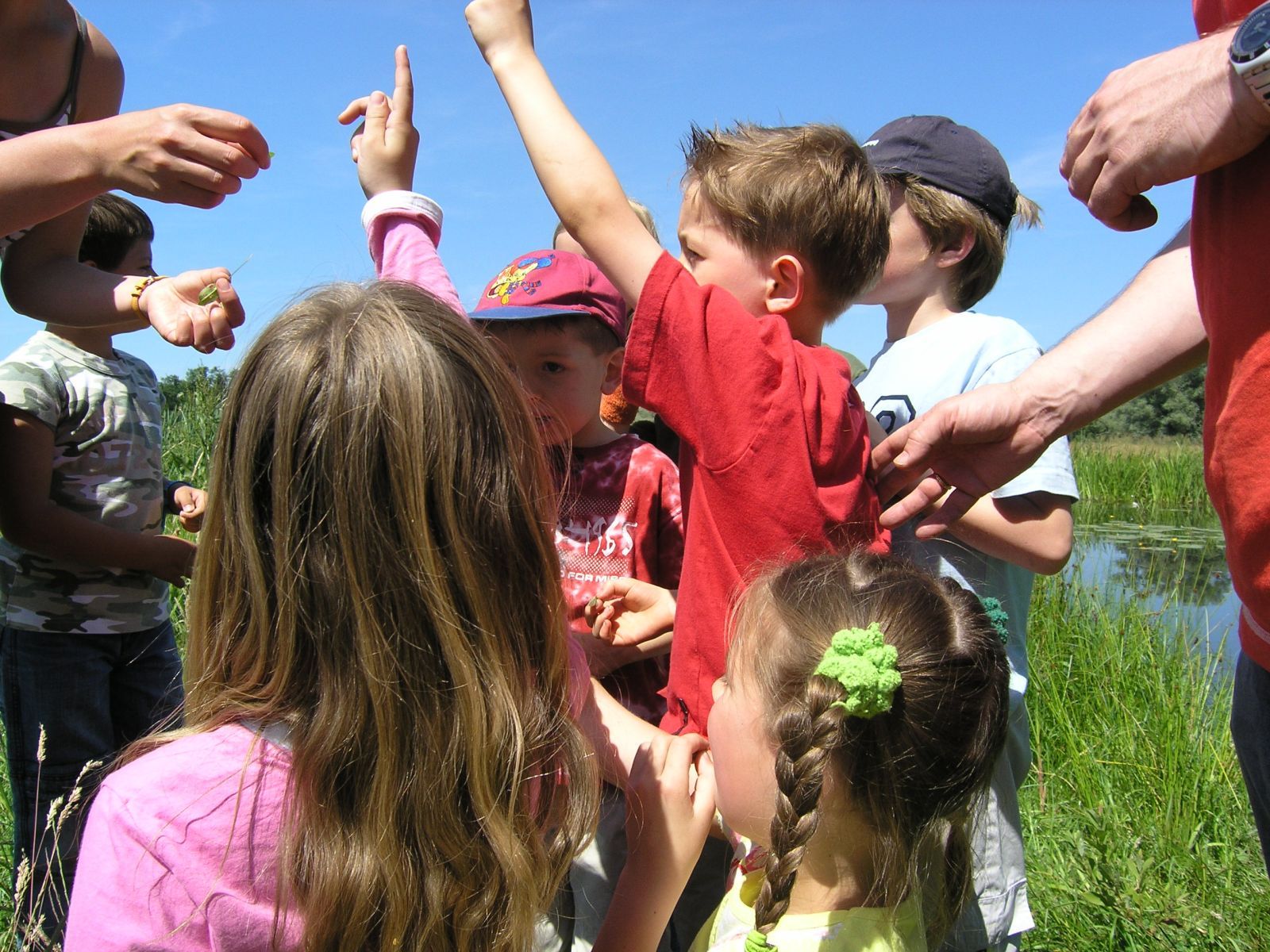 Natuureducatie